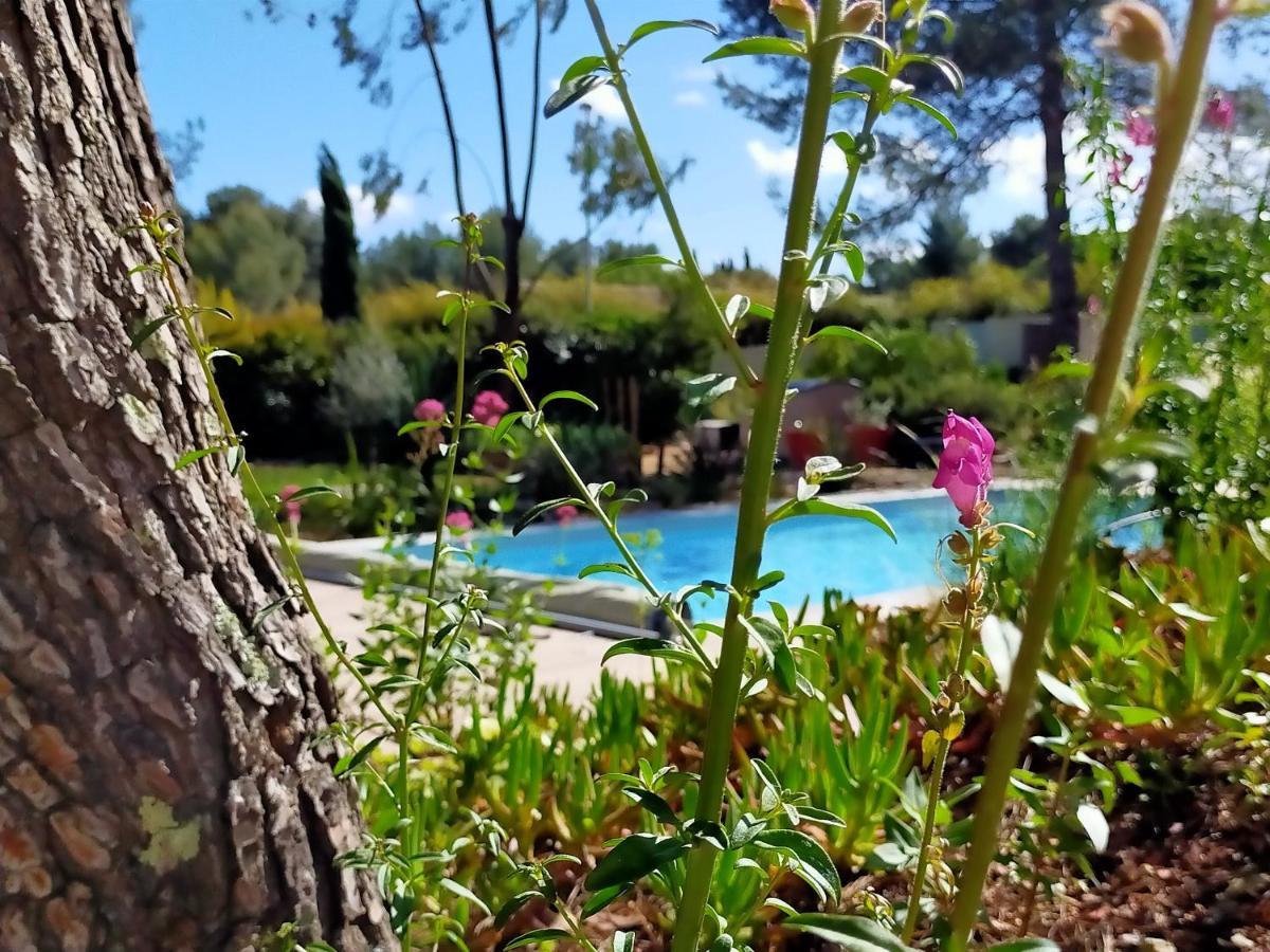Studio D'hotes Les Libellules * Castelnau-le-Lez